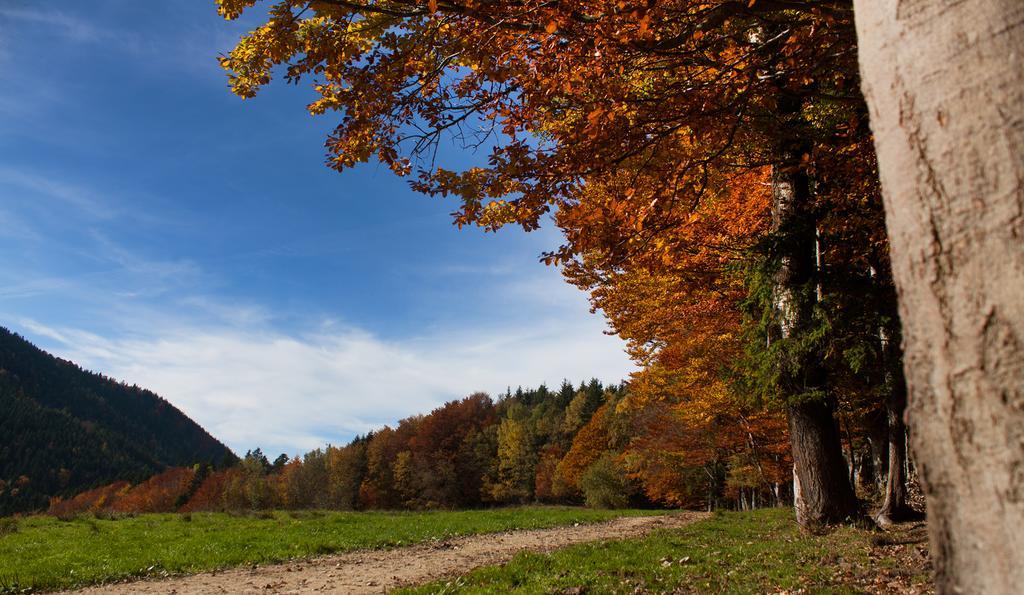 Gasthof Fischerstueberl Rottau Exteriör bild
